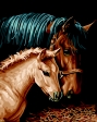 Картина по номерам "Пара коней", 40*50, ART Line
