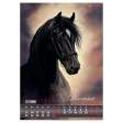 Календар настінний 2026 р., А3, 1 пружина, Horses