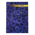 Книга канцелярская NATURE, А4, 96 л., клетка, офсет, твердая лам. обложка, ассорти