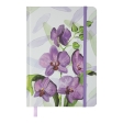 Книжка записна ORCHID, на гумці, А5, 96 арк., клітинка, офсет крем., тв.лам.обл., лавандова