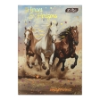 Щоденник шкільний NIGHT HORSE, В5, 40арк, тверд. обкл., мат. ламінація + виб.УФ-лак і тисн.фольгой,, KIDS Line
