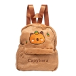 Рюкзак CAPYBARA, розмір 25*23см