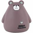 Скарбничка Kite Brown Bear
