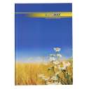 Книга канцелярская CLASSIC, А4, 96 л., линия, офсет, жесткая лам. обложка, синяя
