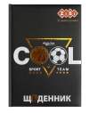  Щоденник шкільний TEAM, В5, 48 арк., тверд. обл. "сендвіч",+виб.тисн.фольгою, KIDS Line