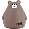 Скарбничка Kite Brown Bear