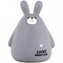 Скарбничка Kite Grey Bunny