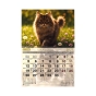 Календар настінний перекидний на 2027 р., Коти
