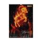 Календар настінний 2027 р., А3, 1 пружина, Symbol of the year