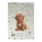 Папка для праці та зошитів DOG, картонна, на гумці А4 (225x316мм), KIDS Line