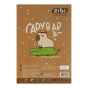 Папір кольоровий CAPYBARA, А4, 18 аркушів, 9 кольорів, 45 г/м2, KIDS Line