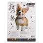 Картон кольоровий CATS&DOGS, А4, 10 кольорів - 10 аркушів, 230 г/м2, KIDS Line