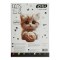 Картон кольоровий CATS&DOGS, А4, 7 кольорів - 14 аркушів, 230 г/м2, KIDS Line