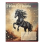 Зошит учнівський шкільний HORSES, 24арк., лінія, KIDS LINE
