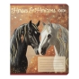 Зошит учнівський шкільний HORSES, 24арк., лінія, KIDS LINE