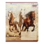 Зошит учнівський шкільний HORSES, 24арк., лінія, KIDS LINE