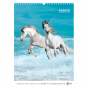 Календарь настенный А3 2026, Horses