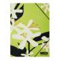 Папка А4 на гумках, PLUMERIA ARABESKI, напівпрозора, салатова