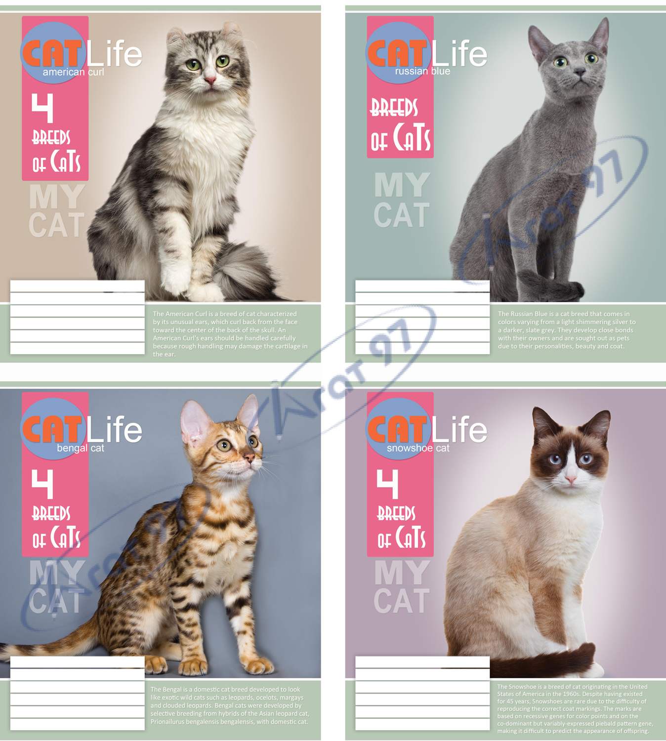 Зошит 48 арк. (клітинка),2915к